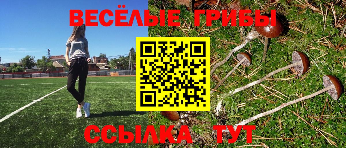 наркота  Вход с VPN  Белебей  Галлюциногенные грибы Psilocybine cubensis 