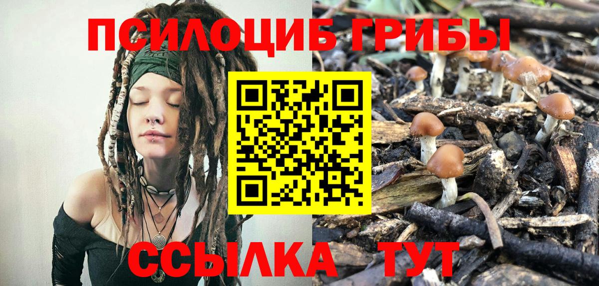 Псилоцибиновые грибы Cubensis Белебей